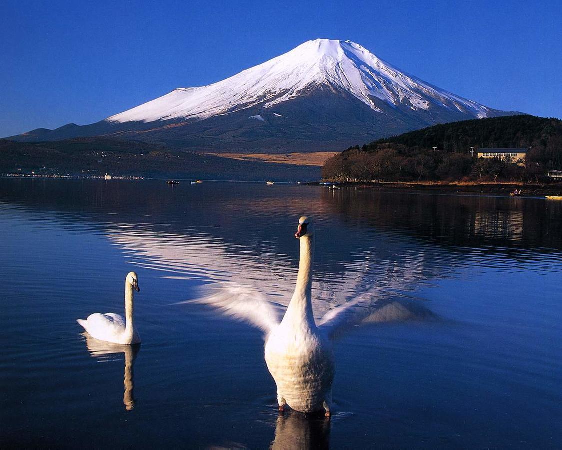 Resort Inn Golf Gotemba (Adults Only) מראה חיצוני תמונה